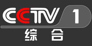 CCTV1.jpg
